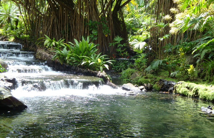Tabacon Grand Spa Thermal Resort