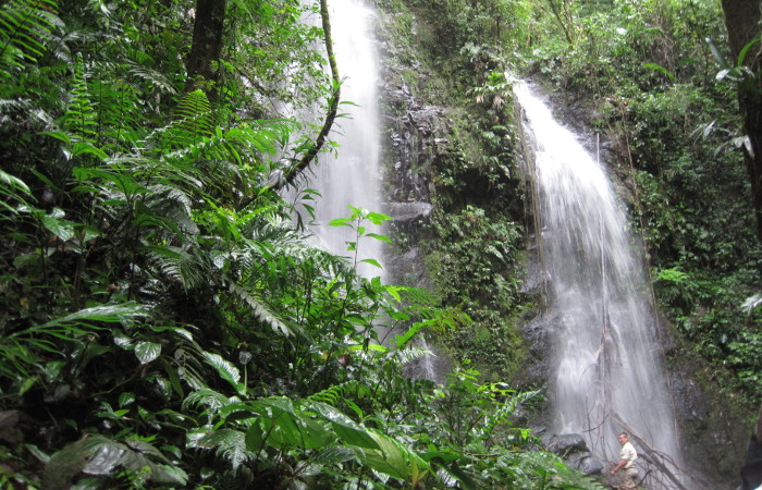 Why Costa Rica